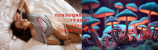 кристаллы Осинники