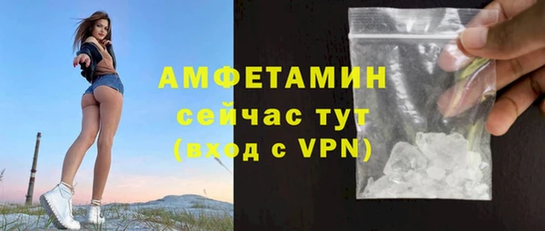 индика Дрезна
