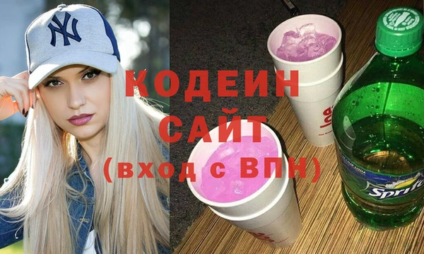 МДПВ Пересвет