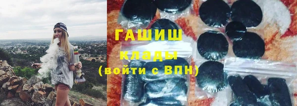 МДПВ Пересвет