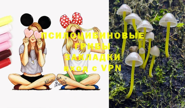МДПВ Пересвет
