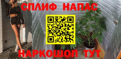 стафф Берёзовский