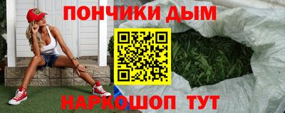крисы Бийск