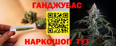 крисы Бийск