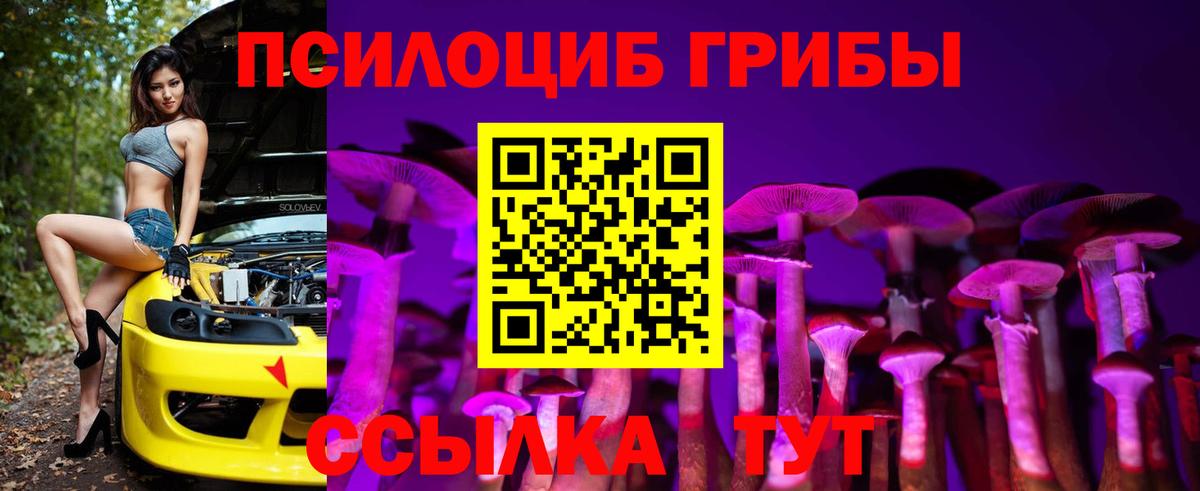 Заволжье  Псилоцибиновые грибы Cubensis  Вход с VPN 